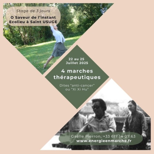 Stage Qi Gong d'été, les Marches thérapeutiques