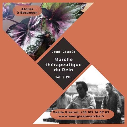 21 août de 14h à 17h ; Atelier Qi Gong Marche thérapeutique du Rein