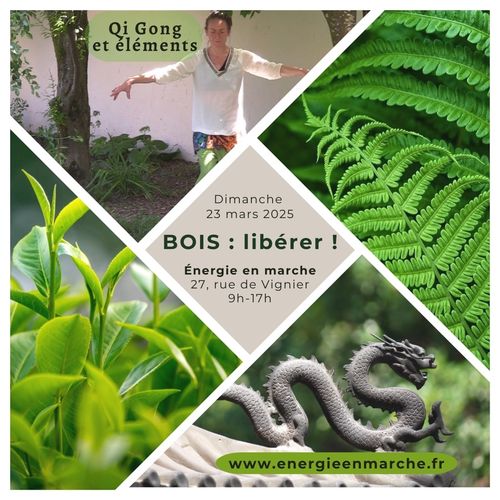 23mars25 qi gong bois gaelle pierron