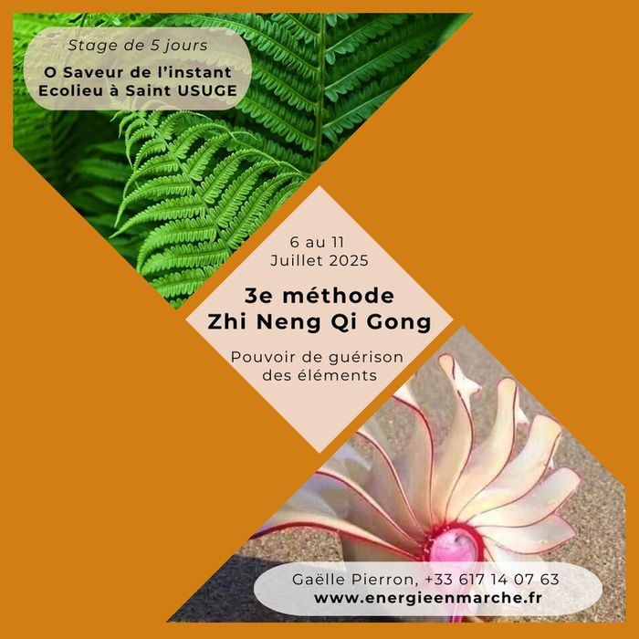 6 au 11 juillet 3e méthode qi gong avec gaelle pierron