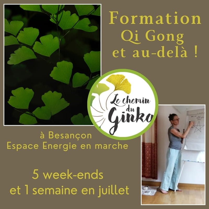 formation qi gong 26 27 gaelle pierron