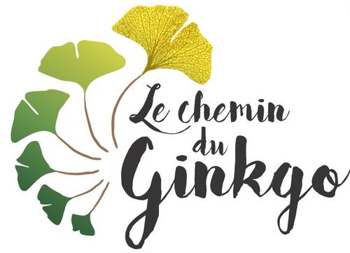 logo chemin gingko zhi neng 500