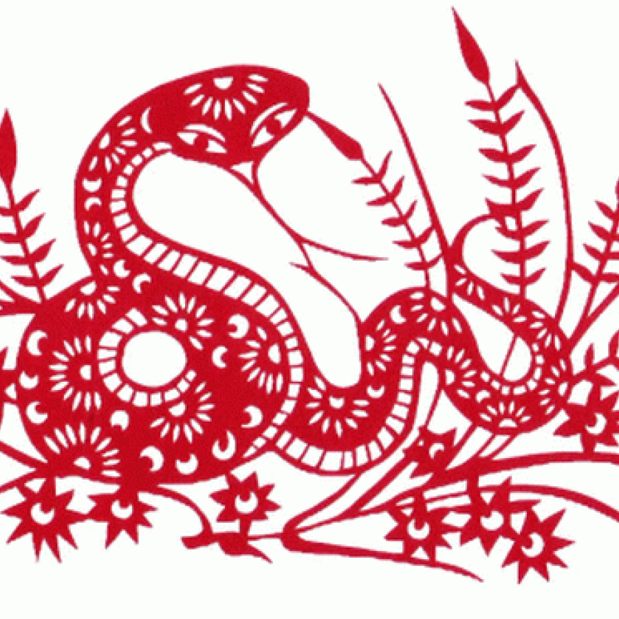 Merveilleuse année 2025 du Serpent de Bois !