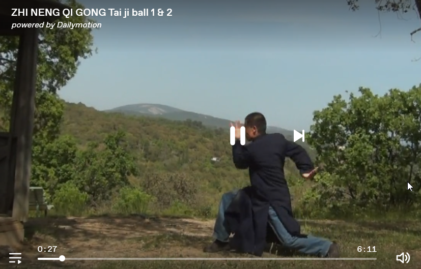 video WQF Taichi Ball